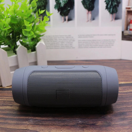 Wireless Bluetooth Speaker: Waterproof, TF Card, FM Radio, USB, 2-3H Play Time gray