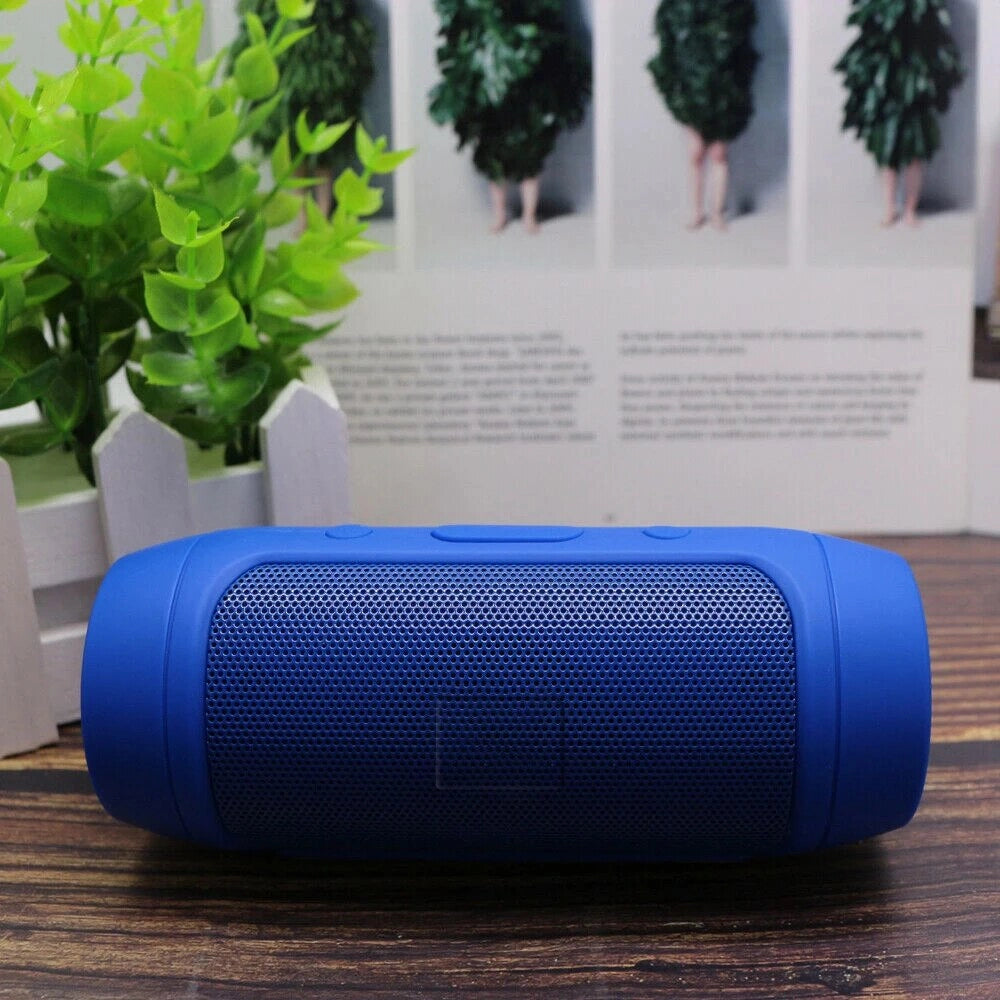 Wireless Bluetooth Speaker: Waterproof, TF Card, FM Radio, USB, 2-3H Play Time