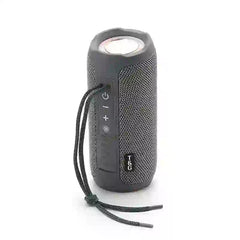 TG227 Wireless Outdoor Speaker with Integrated LED Light - MyAudioSounds
